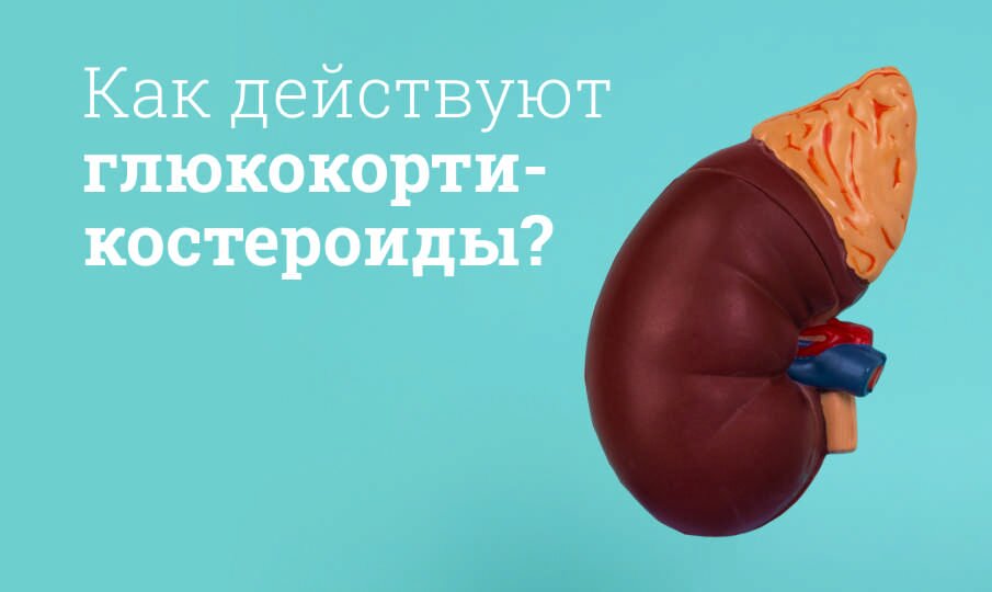 Что за препараты глюкокортикостероиды?