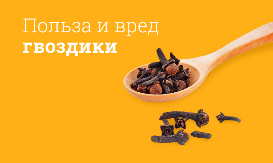 Гвоздика польза и вред
