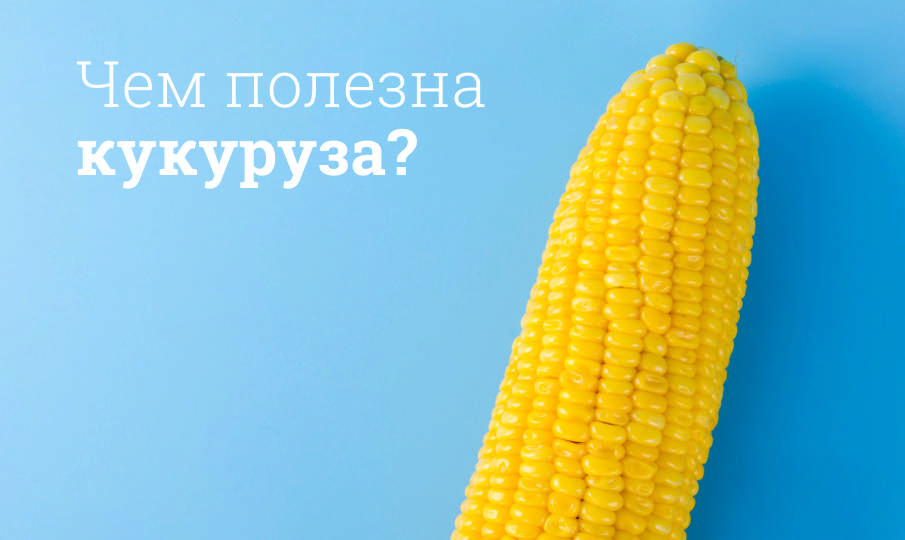 Кукуруза польза и вред