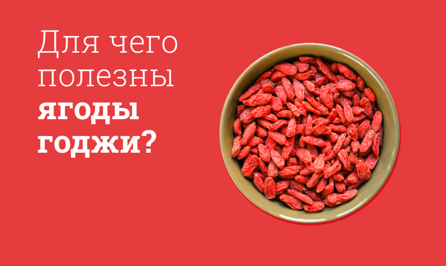 Ягоды годжи польза и вред