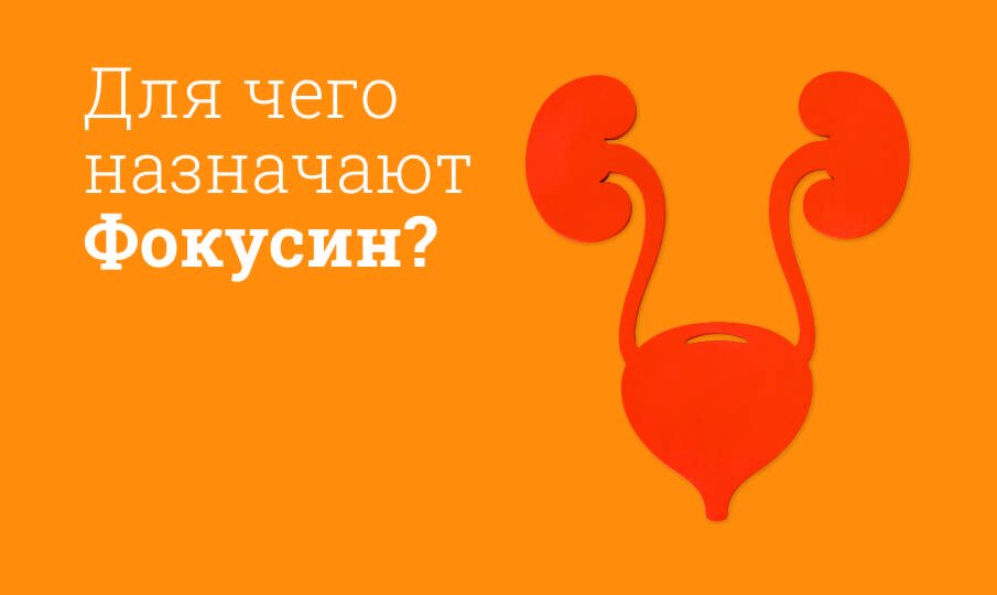 Для чего назначают Фокусин?