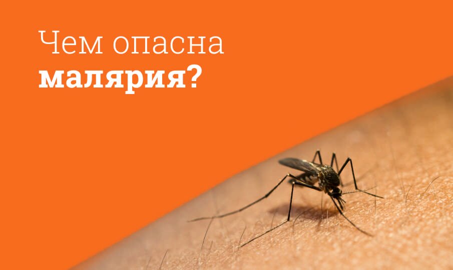 Малярия: симптомы и лечение