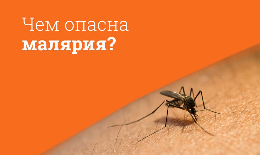 Чем опасна малярия?