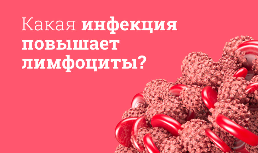 Почему повышены лимфоциты в крови?