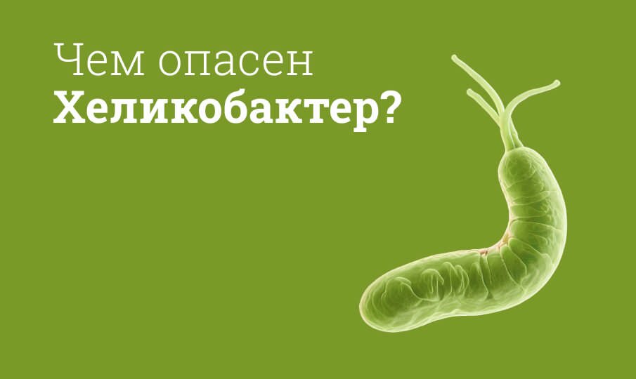 Хеликобактер: причины появления, симптомы