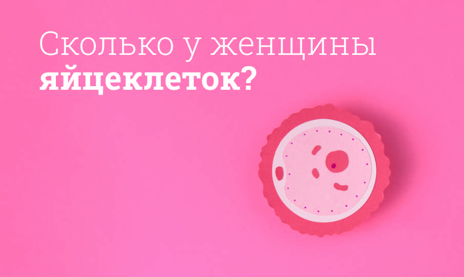 Сколько у женщины яйцеклеток?