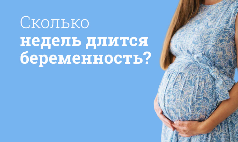 Сколько недель длится беременность?