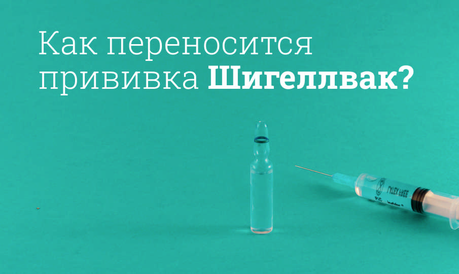 Как переносится прививка Шигеллвак?