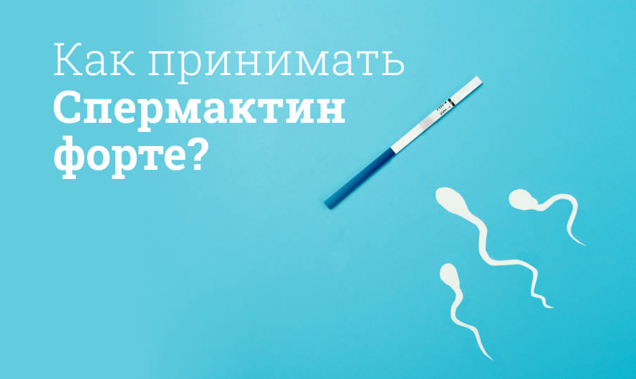 Спермактин инструкция по применению