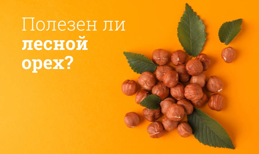 Лесной орех польза и вред