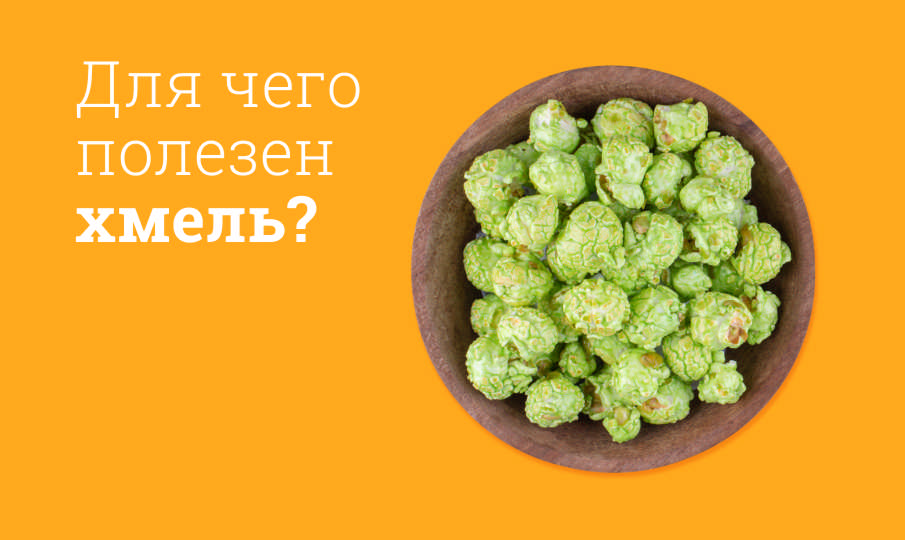Хмель вред и польза