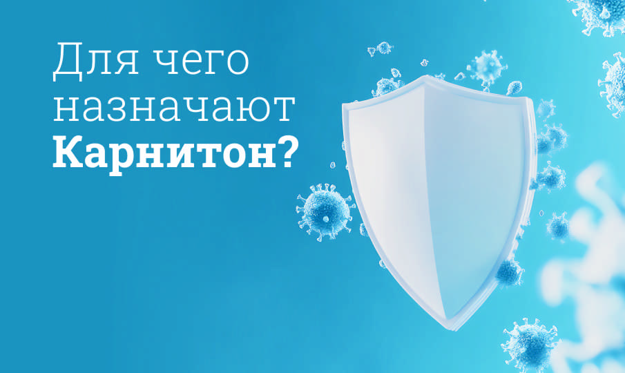 Карнитон инструкция по применению