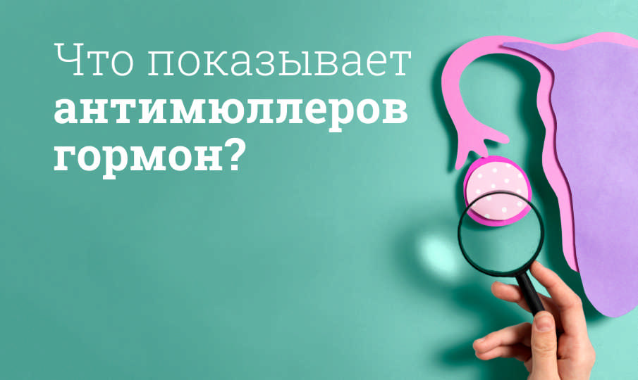 Что такое антимюллеров гормон?