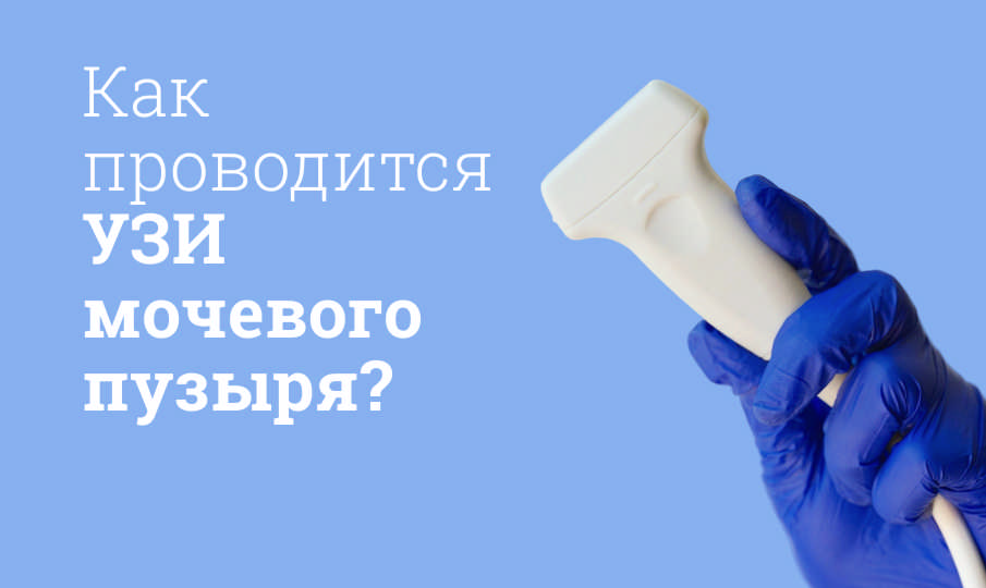 УЗИ мочевого пузыря