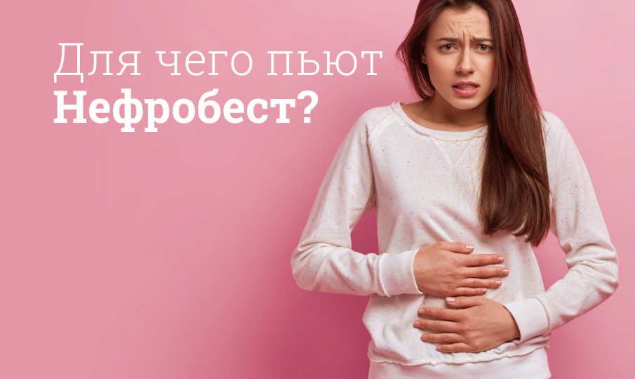НефроБест инструкция по применению