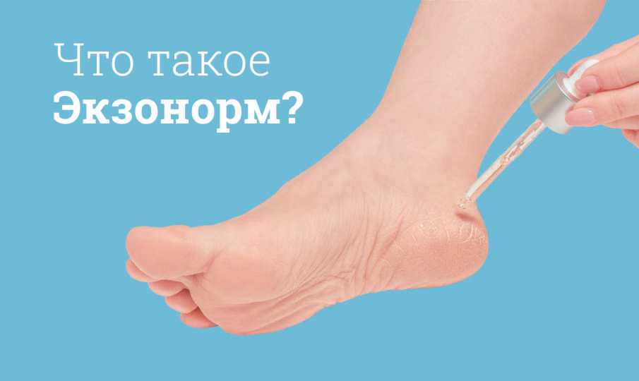 Экзонорм инструкция по применению