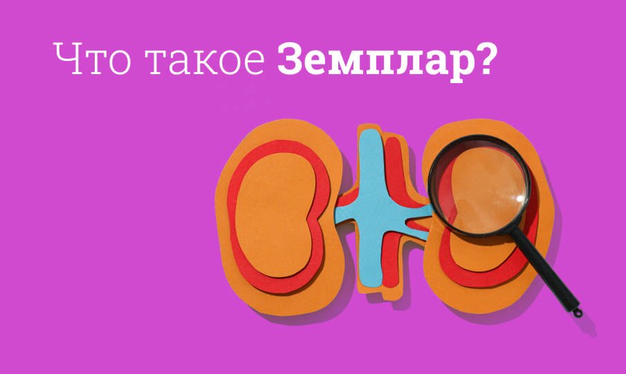 Земплар: инструкция по применению