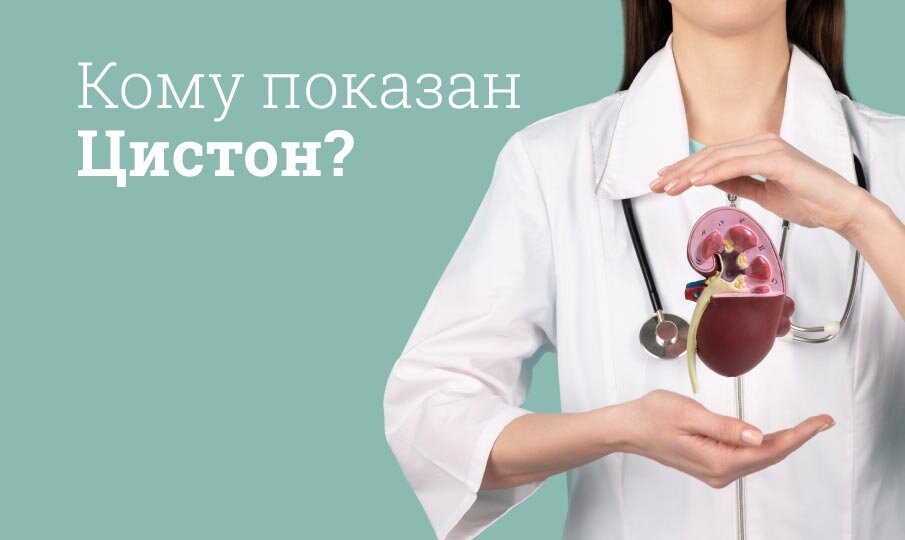 Цистон инструкция по применению