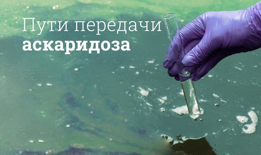 Клинические рекомендации и лечение аскаридоза у взрослых и детей