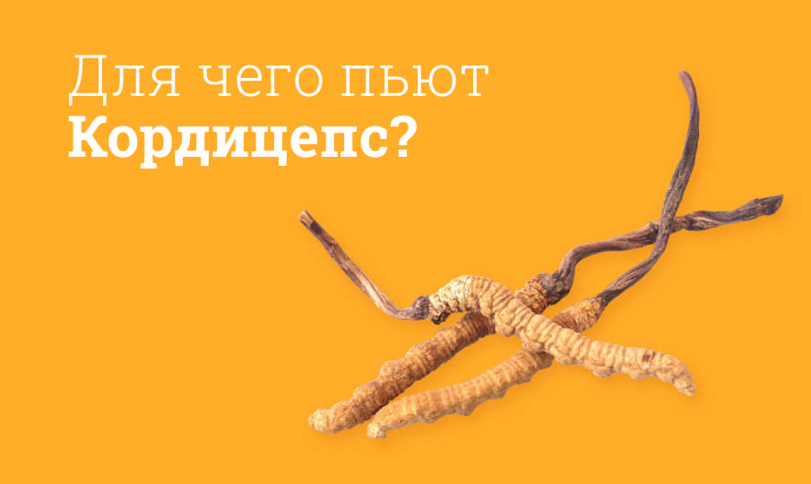 Кордицепс инструкция по применению