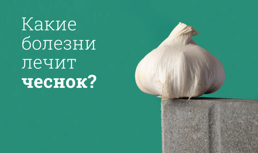 Чеснок польза и вред
