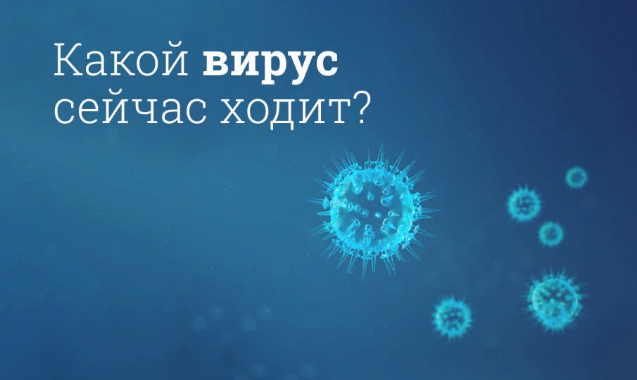 Какой сейчас ходит вирус?
