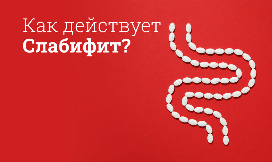 Слабифит инструкция по применению