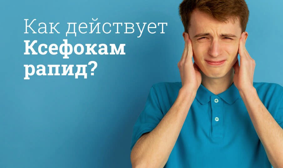 Ксефокам Рапид инструкция по применению, цена: От чего назначают ...