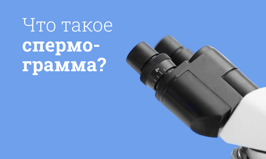 Что такое спермограмма?