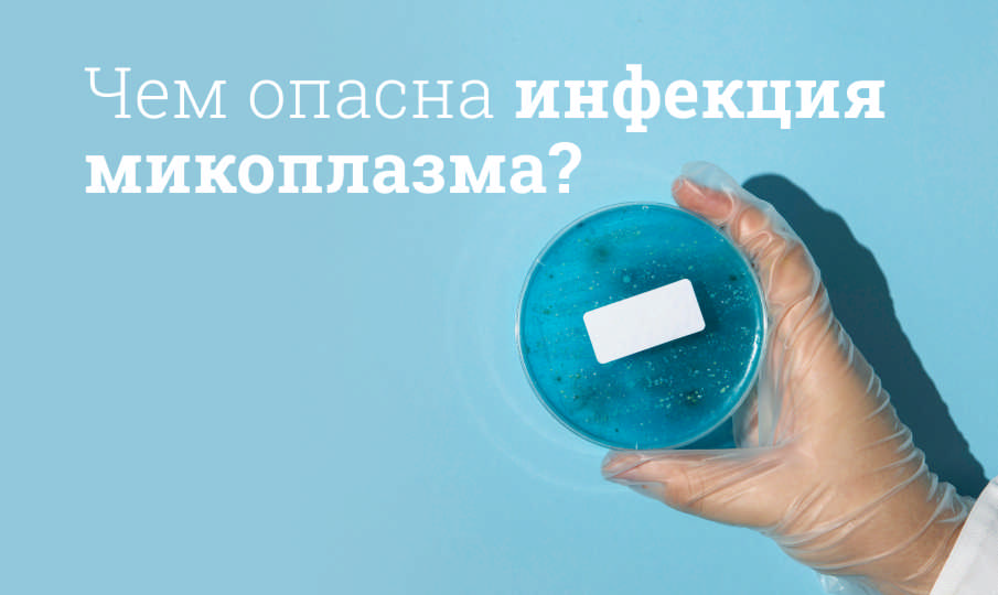 Симптомы и лечение микоплазмы