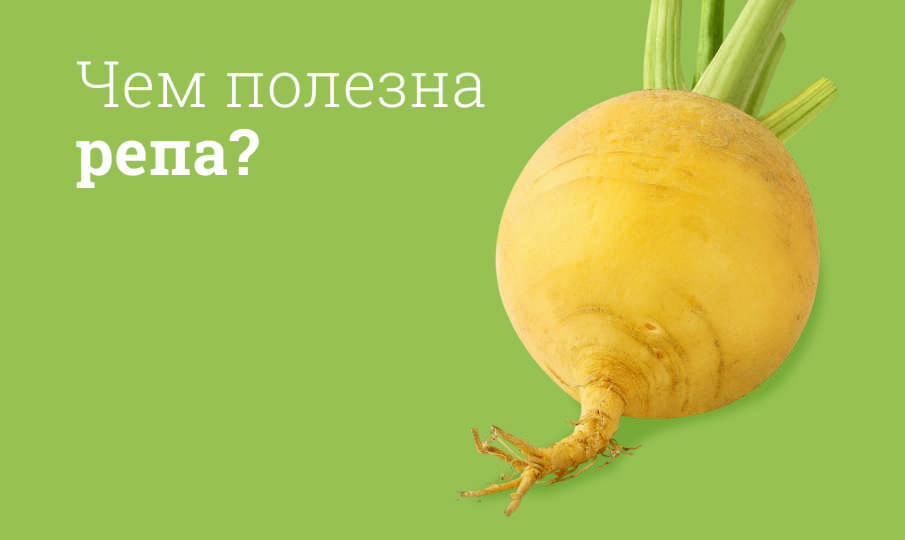 Репа вред и польза