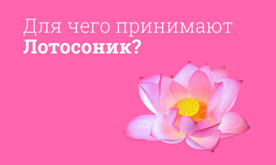 Лотосоник Таблетки Цена