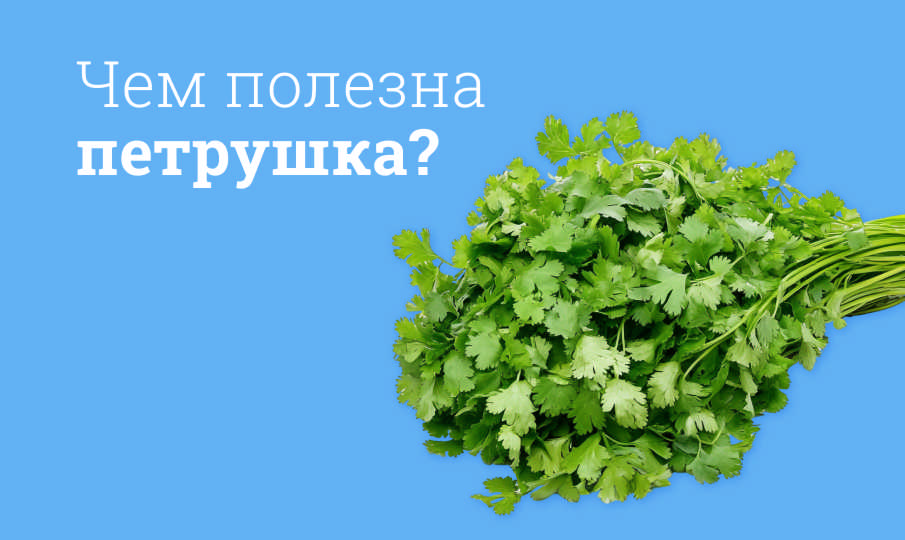 Петрушка польза и вред