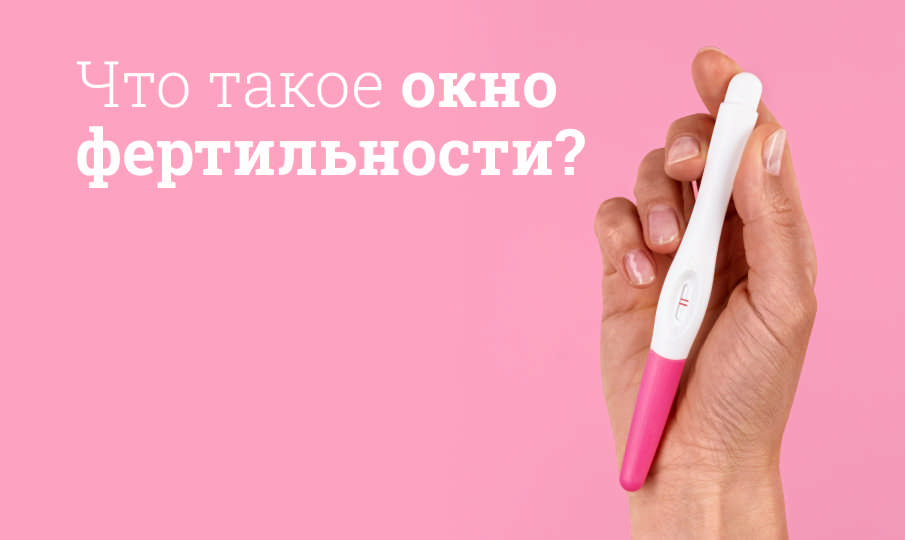 Что такое окно фертильности?