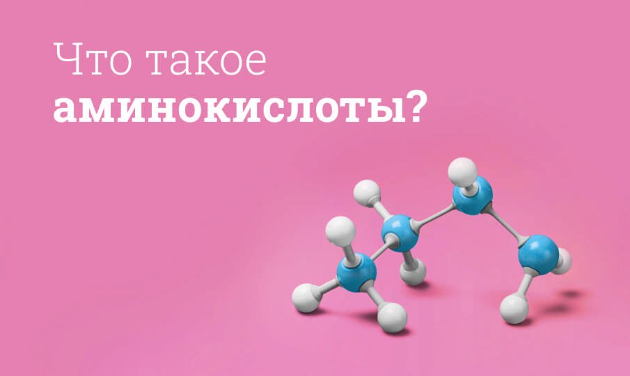 Аминокислоты: заменимые и незаменимые