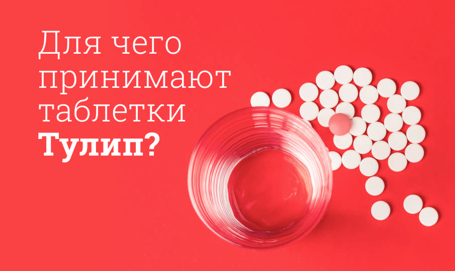 Тулип инструкция по применению