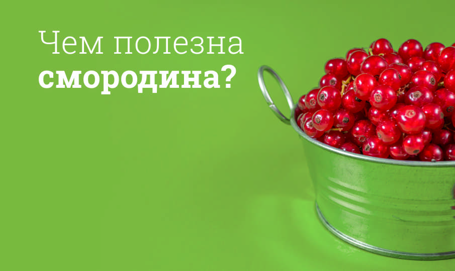Смородина польза и вред