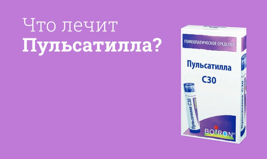 Пульсатилла: инструкция по применению