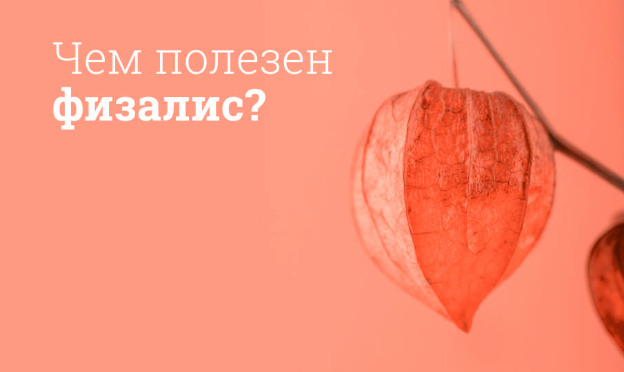 Физалис польза и вред
