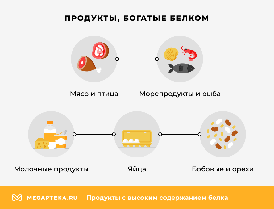 Продукты, богатые белком