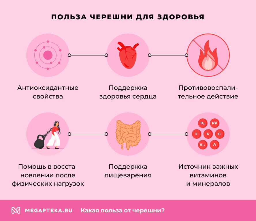 Польза черешни для здоровья
