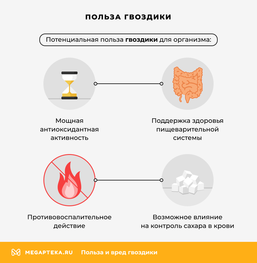 Польза гвоздики