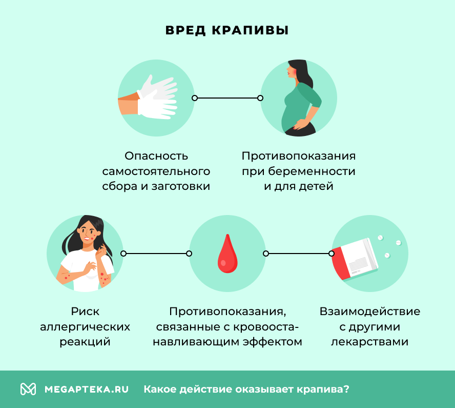 Вред крапивы