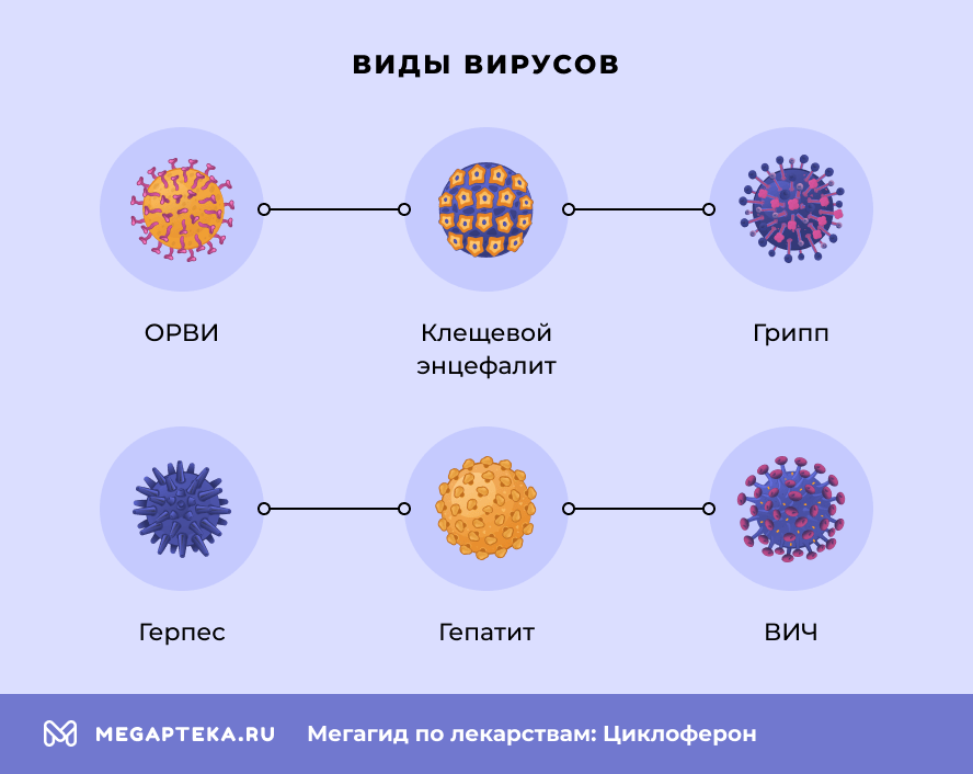 Виды вирусов