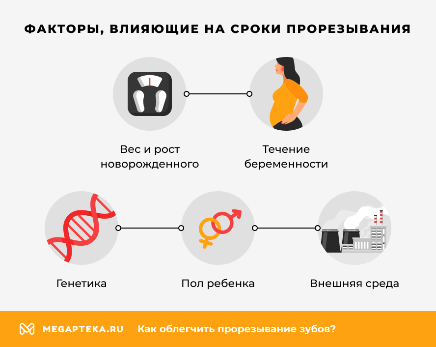 Факторы, влияющие на сроки прорезывания зубов