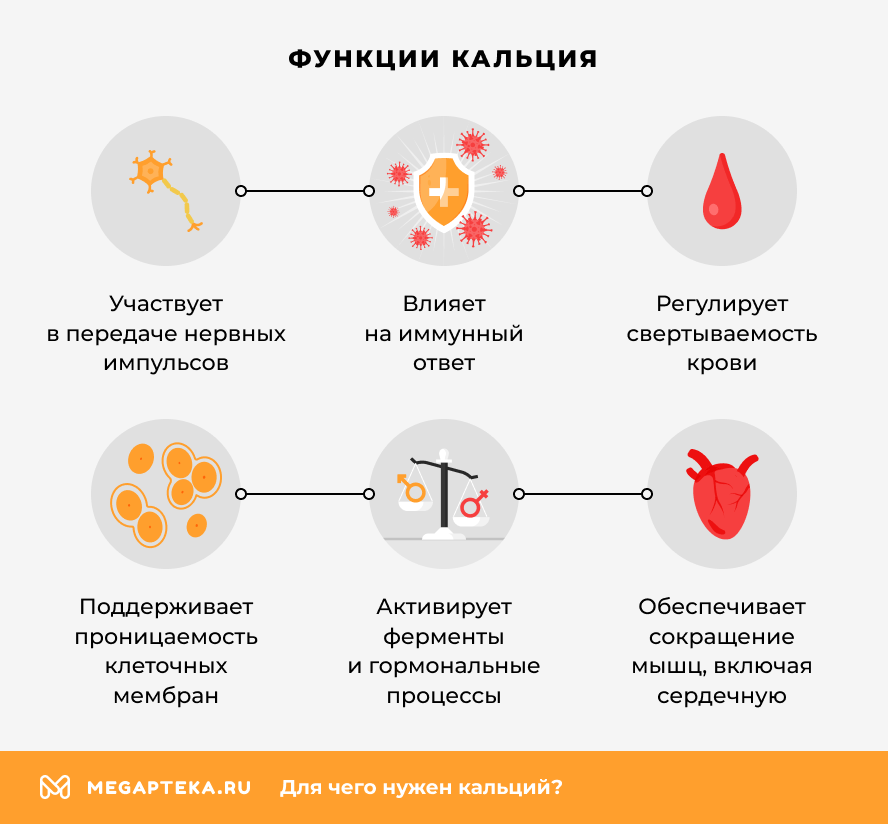 Функции кальция
