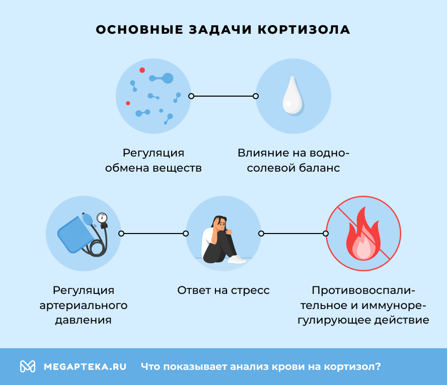 Основные задачи кортизола