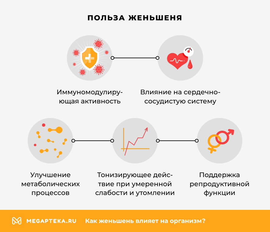 Польза женьшеня