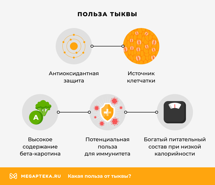 Польза тыквы