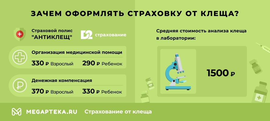 Зачем оформлять страховку от клеща?